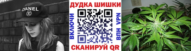 Сколько стоит Можга Alpha-PVP  Марихуана  Мефедрон  Гашиш  Кокаин 