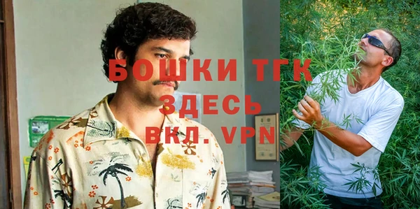 ALPHA PVP Белокуриха