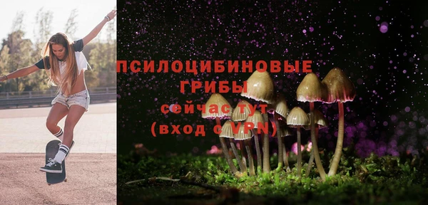 ALPHA PVP Белокуриха